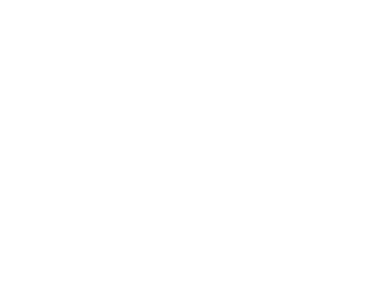 ANTI-VEHICLE DROP