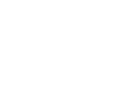 UAV OVERWATCH