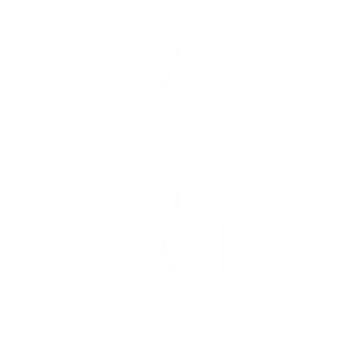 WEAPON DROP